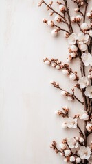Delicate white apricot blossoms gracefully set against a soft beige background highlight a tranquil minimalist aesthetic