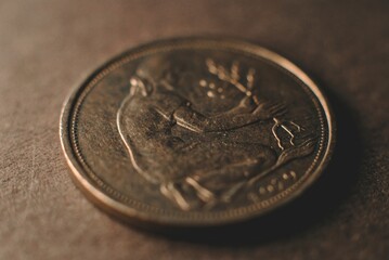 Coin, bank, finance, economy, macro, beautiful photo of coin, money
