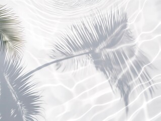 Palm Frond Shadows and Water Ripples on White Surface