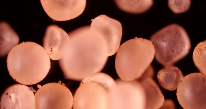 Scientific footage showing BCP usage for albumin tests, bacterial staining and acid-stop baths in photo processing