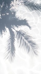 Palm Frond Shadows Projected on Water Surface