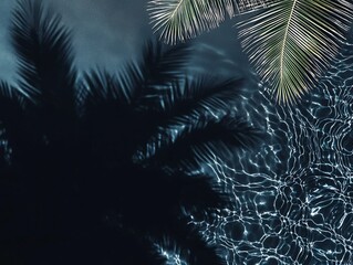 Obraz premium Palm Fronds and Shadows on Pool Water