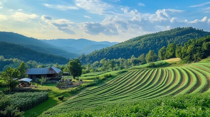 a nature-friendly farming lifestyle, farmers using sustainable methods to grow crops, surrounded by rolling hills, pure air, and a harmonious environment