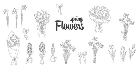 Set of spring flowers. Hyacinth, narcissus, daffodil, and tulip bouquet. Good for posters, postcards, banners, ad, logo, labels and tags