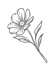 Outline flower sketch. Trendy botanical design element with blooming flower or wild plant with leaves. Tattoo or logo. Hand drawn vector illustration in line art style isolated on background