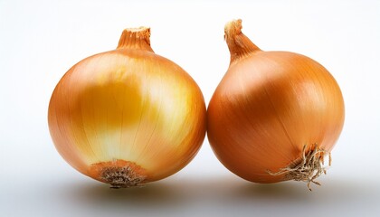 新鮮な黄色い玉ねぎ