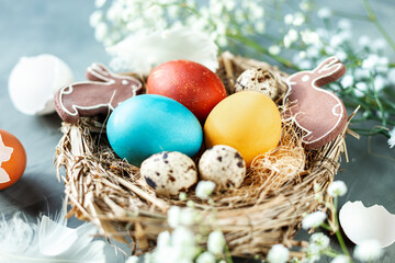Colored chicken eggs in a nest of dry grass with feathers, rabbits and gypsophila branches on a...