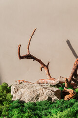 Natural stone podium with a branch and moss on a light beige background.