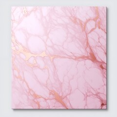 Pink and Rose Gold Marble Canvas Print