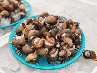 
golbaengi, seafood, ingredients, collection, basket, sales stand