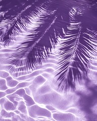 Palm Leaf Shadows on Purple Water Surface