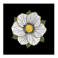 Beautiful white flower on a black background. The flower consists of lines. Flower as a design element