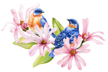 Two beautiful blue birds sit on branch pink magnolias flowers. Summer composition for card, poster, decorating textiles © Hanna