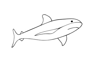 A hand-drawn shark illustration, predator. Isolated on white background.