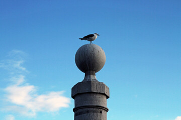 A seagull gracefully balances on a stone sphere crowning an ancient monument, against the backdrop of a clear blue sky.