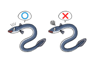 ウナギマルバツセット