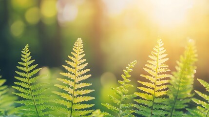 Vibrant Tropical Rainforest with Lush Ferns and Dappled Sunlight