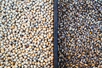 Delicious Detail of Hazelnuts and Pistachios