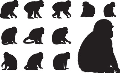 Colobus Monkey Silhouette