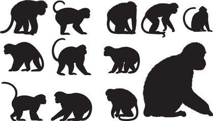 Golden Langur Silhouette