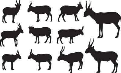 Saiga Antelope Silhouette