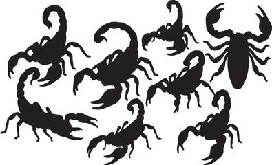 Naklejka premium Scorpion Silhouette