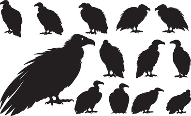 Vulture Silhouette