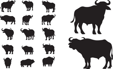 Water Buffalo Silhouette