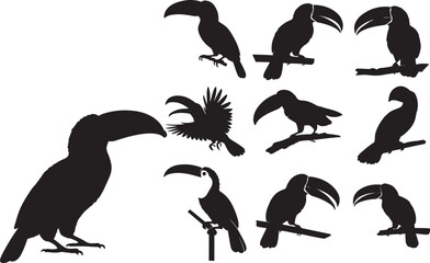 Toucan Silhouette Set