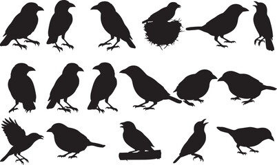 Weaverbird Silhouettes