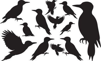 Woodpecker Silhouettes