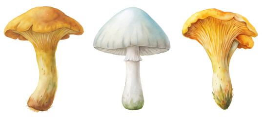 Watercolor mushrooms, detailed illustrations, vibrant colors, nature art, botanical design, edible fungus, artistic representation.