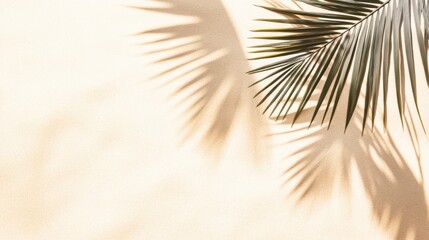 Obraz premium Palm Leaf Casting Long Shadows On Golden Sand.