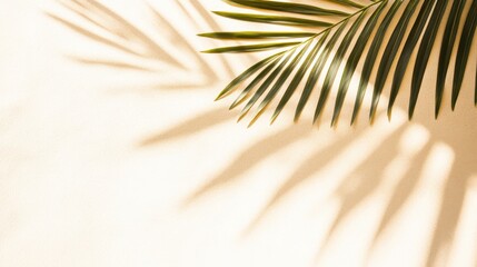 Obraz premium Elegant Palm Leaf Shadows Grace A Sunny Beige Setting
