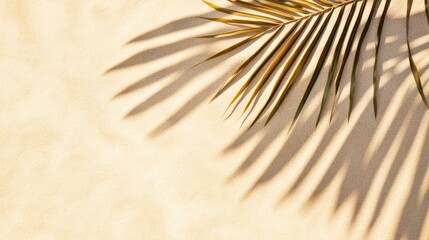 Palm Leaf Shadow On Sand, Sunlight Creates Patterns.