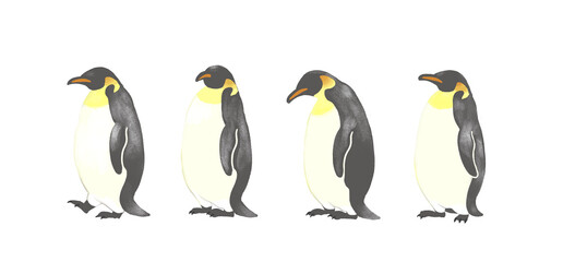 一列に並ぶペンギン