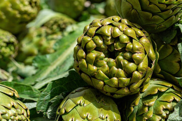Organic Vegetable Artichoke in Bazaar