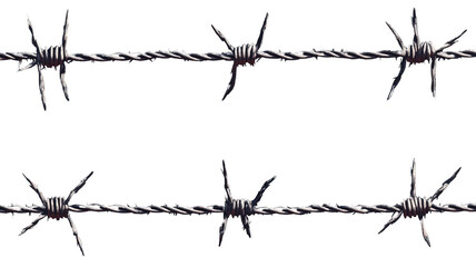 Set of barbed wire strands stretched across a frame, isolated on a transparent background."