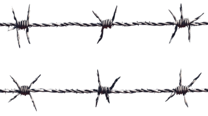 Set of barbed wire strands stretched across a frame, isolated on a transparent background."