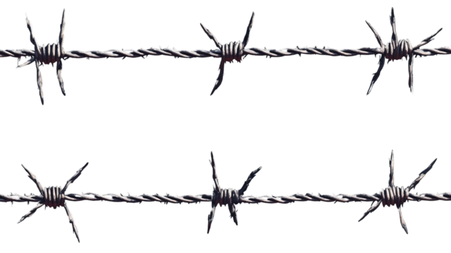 Set of barbed wire strands stretched across a frame, isolated on a transparent background."