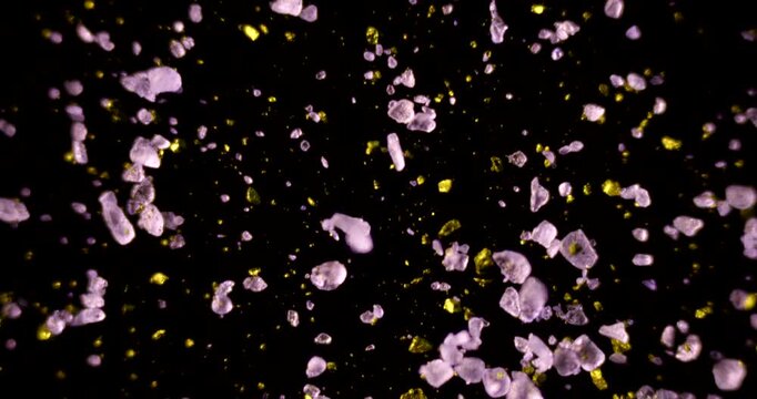 Methyl Violet and Gold. Breathtaking fusion of purple organic crystals and metallic gold particles under laboratory microscope, demonstrating extraordinary light interaction