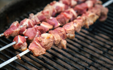 Raw Meat Food on Metallic Sticks