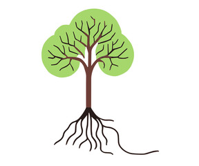 green tree with roots