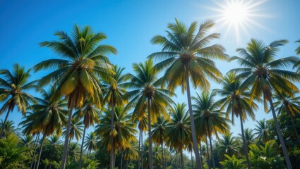 Vibrant Tropical Palm Trees Under Bright Sunlight Against Clear Blue Sky