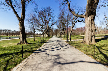 Spring scene looking westwards along the tree-lined avenue of Elm Walk, America's Front Yard, Washington DC