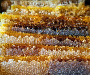 Sweet Healthy and Organic Honeycomb