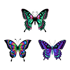 Colorful butterflies, two below and one above, and white background.