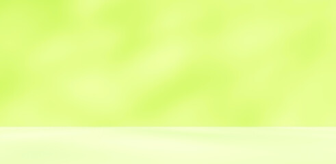 Fototapeta premium Empty green room studio with sunlight effect shadow of leaves. Minimal background for product presentation. Summer spring backdrop. Cosmetic and beauty products display room.