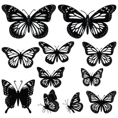 set of butterflies