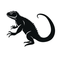 Fototapeta premium black silhouette of a lizard